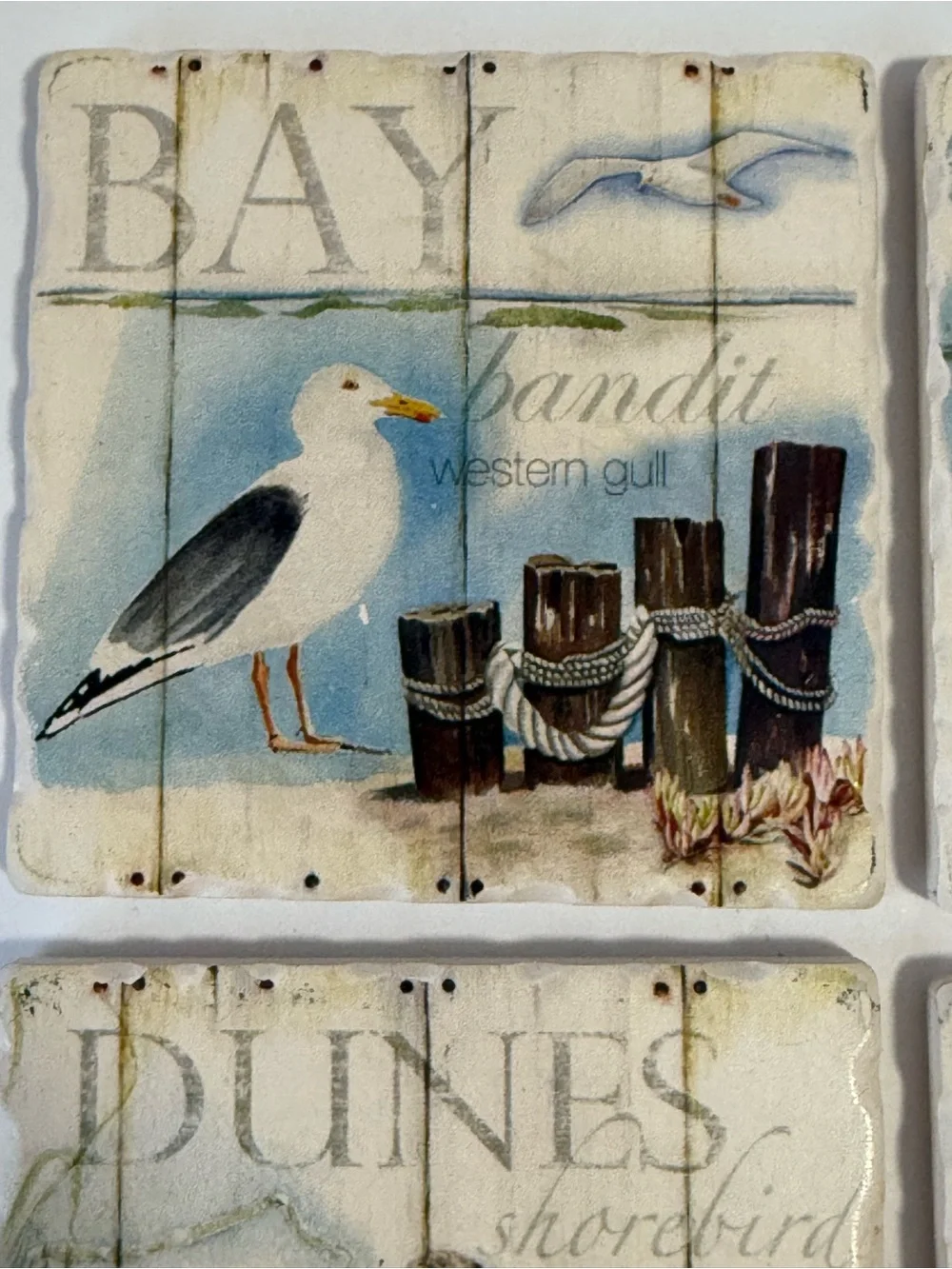 Set of 4 Coastal Shorebird Tumbled Stone Coasters Cork Backed Beach House